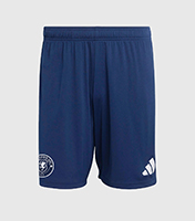Academy Training Shorts